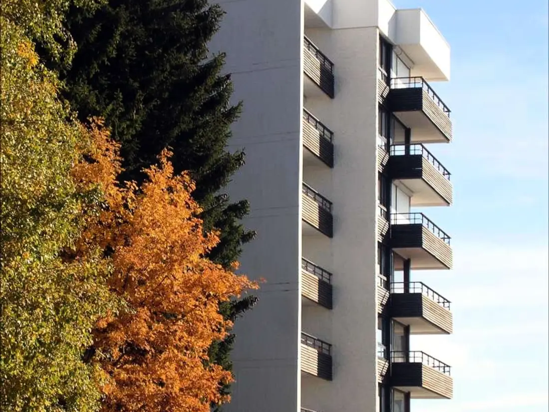 Location de Vacances Chamrousse 174