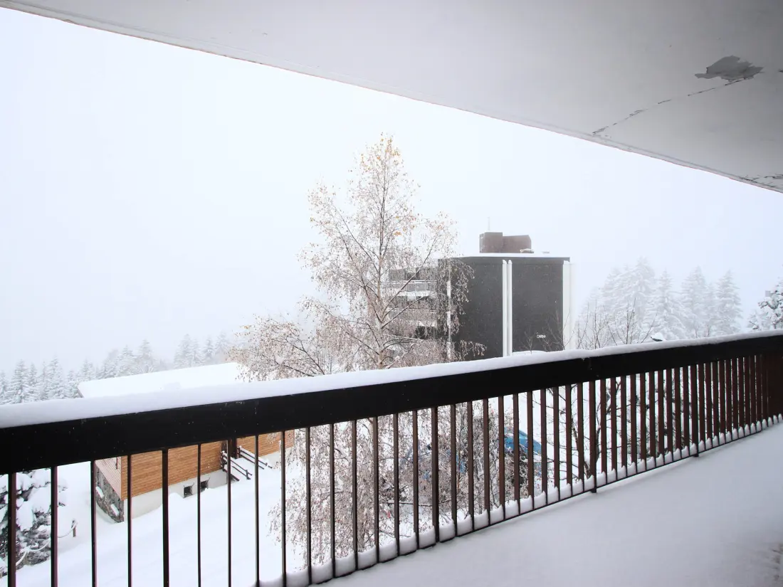 Location de Vacances Chamrousse 188