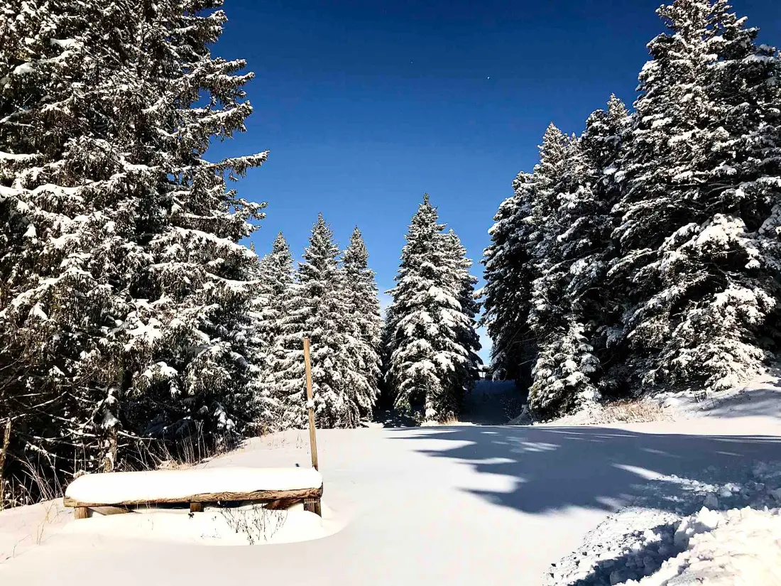 Location de Vacances Chamrousse 2