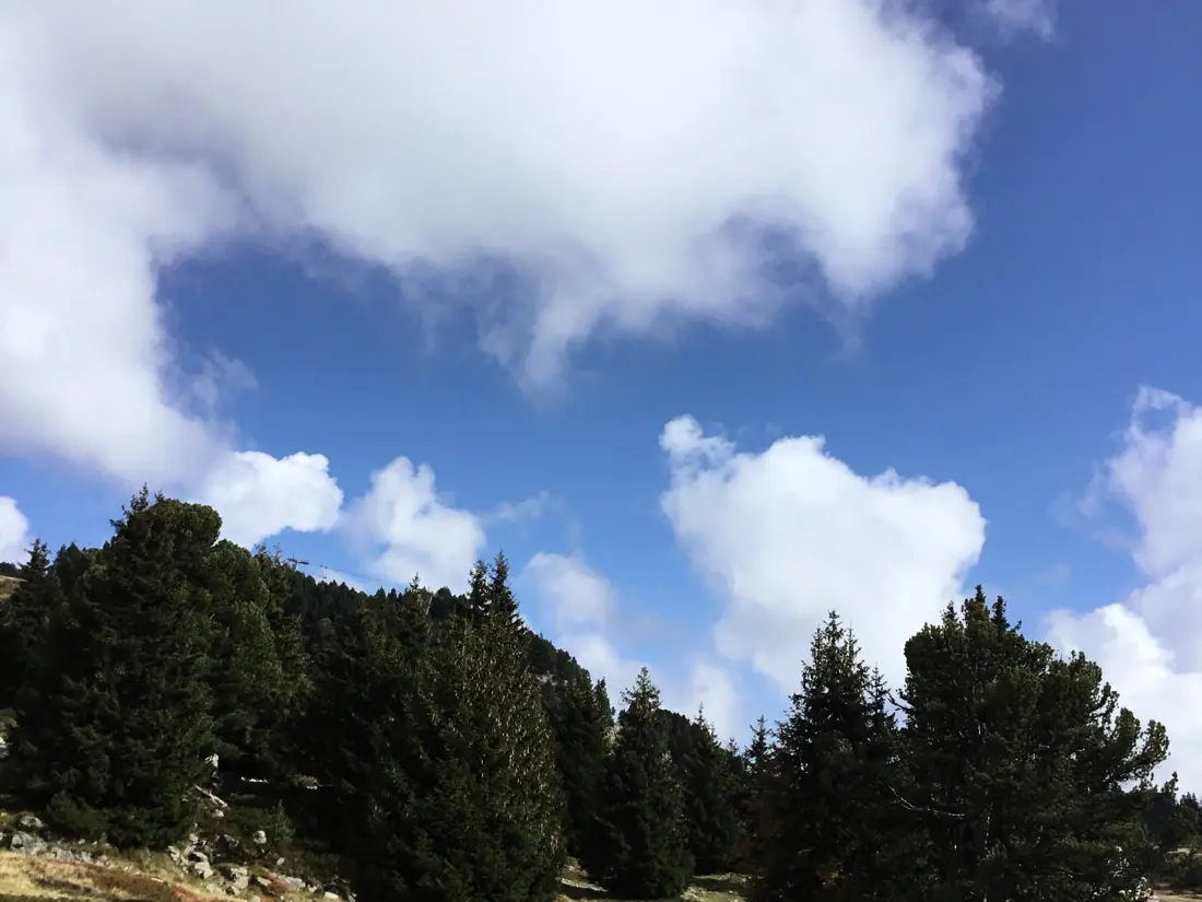 Location de Vacances Chamrousse 200