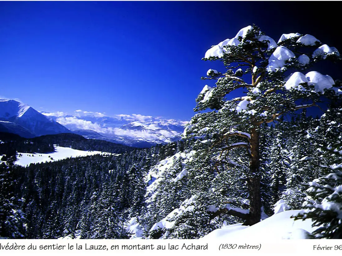 Location de Vacances Chamrousse 200