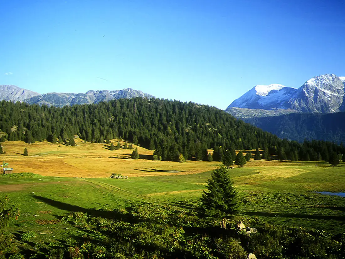 Location de Vacances Chamrousse 200