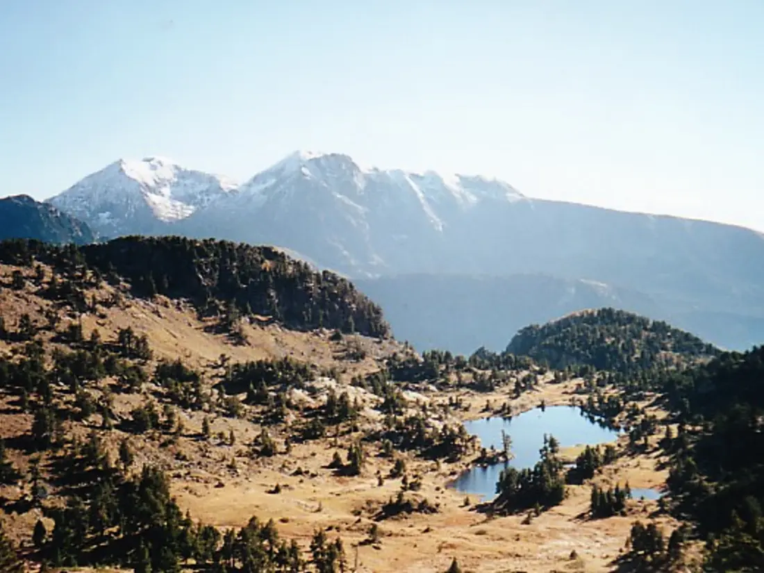 Location de Vacances Chamrousse 200