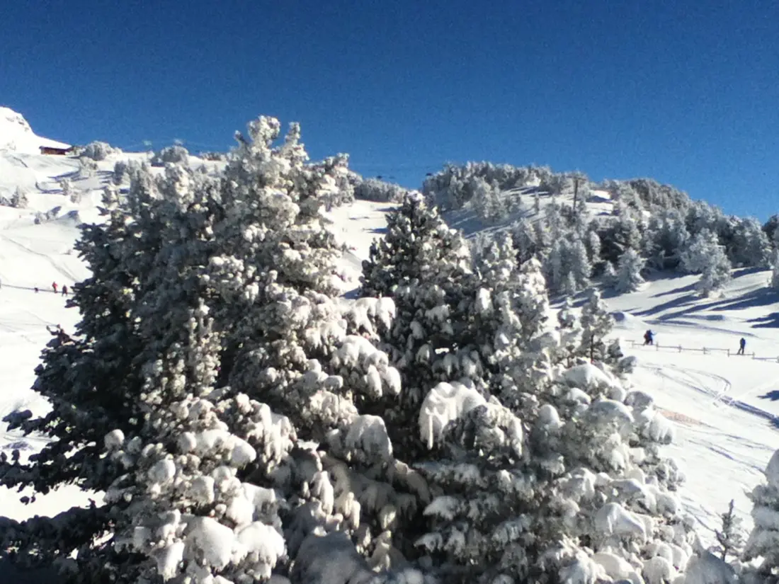 Location de Vacances Chamrousse 218