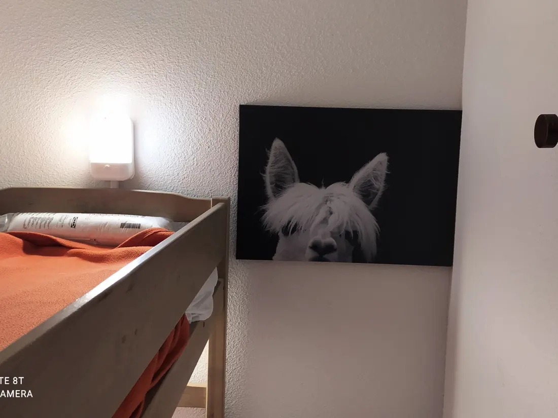 Location de Vacances Chamrousse 245