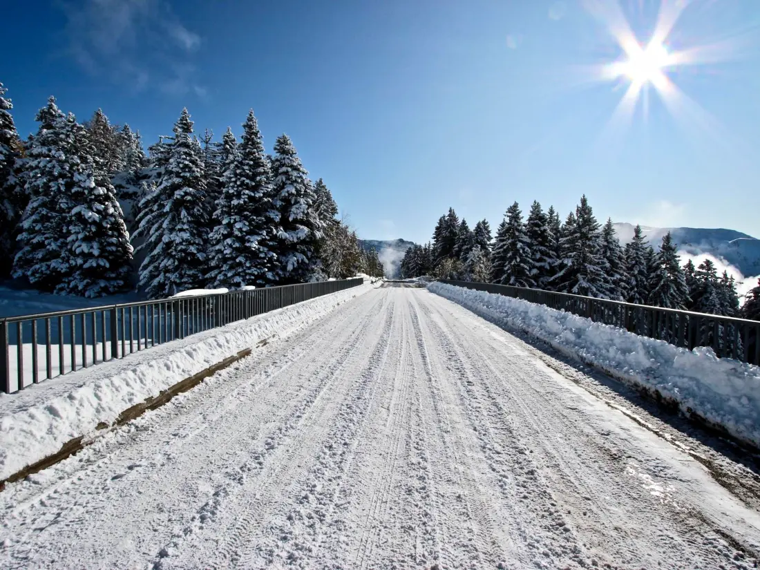 Location de Vacances Chamrousse 245