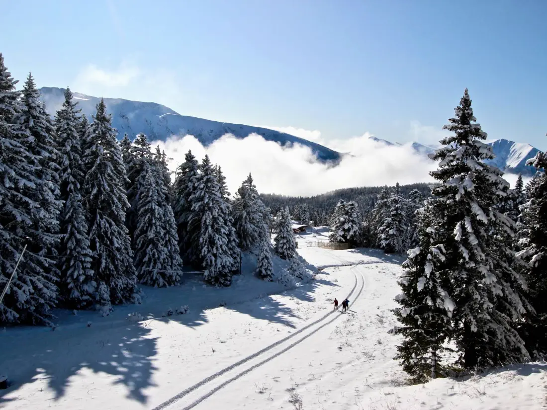 Location de Vacances Chamrousse 245