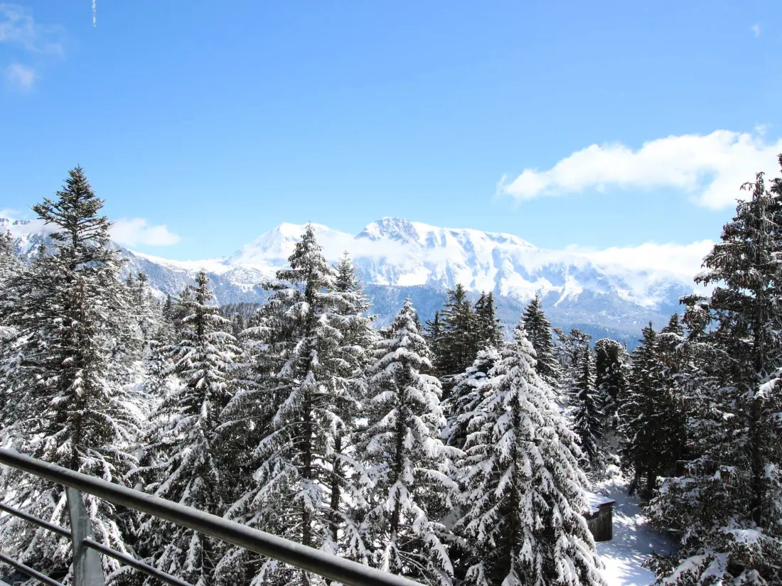 Location de Vacances Chamrousse 245