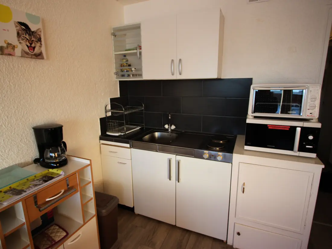 Location de Vacances Chamrousse 246