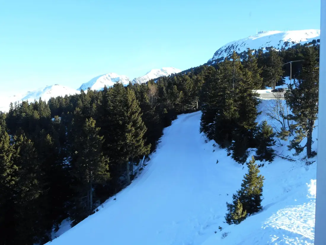 Location de Vacances Chamrousse 257