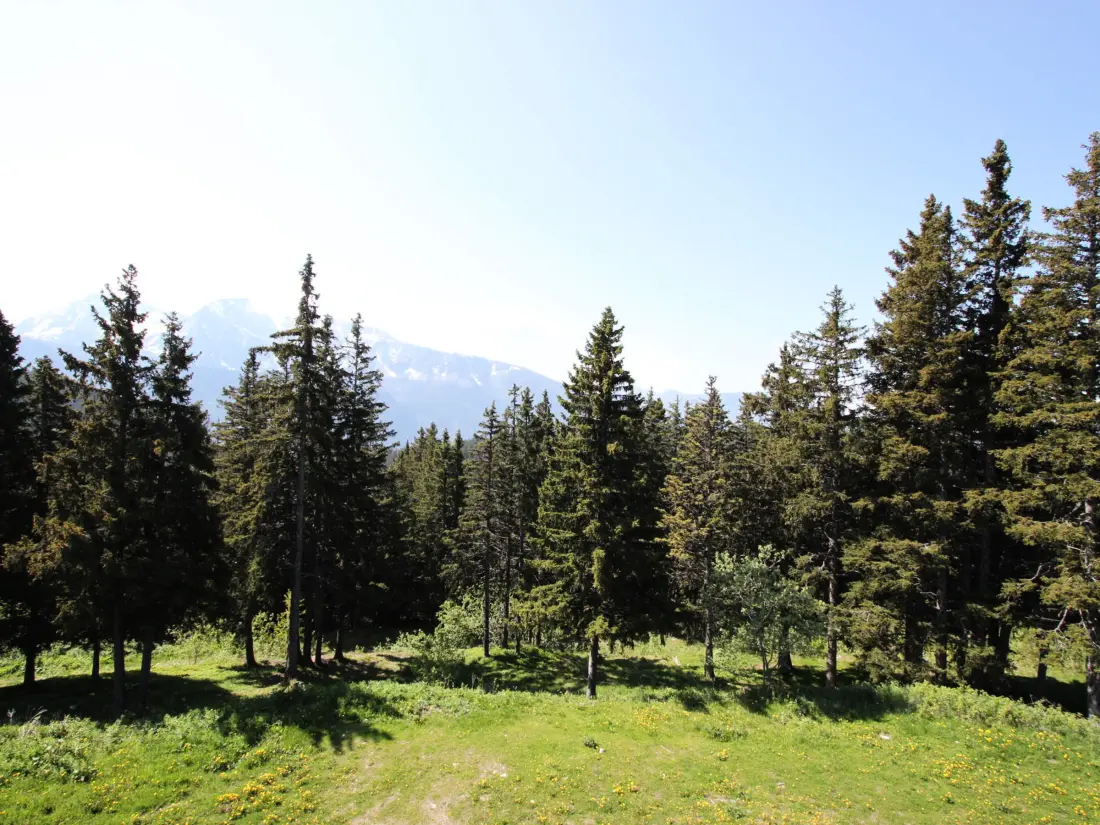 Location de Vacances Chamrousse 267