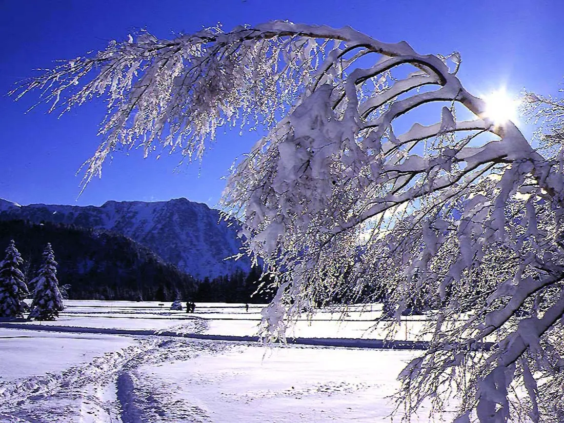 Location de Vacances Chamrousse 280