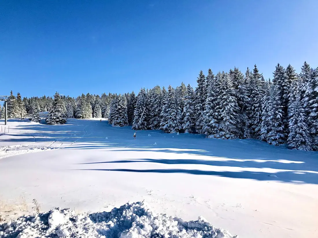 Location de Vacances Chamrousse 280