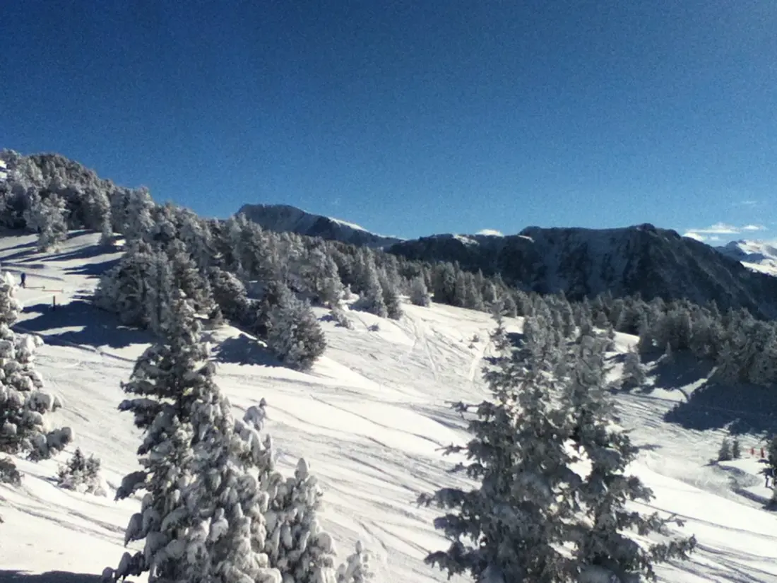 Location de Vacances Chamrousse 280