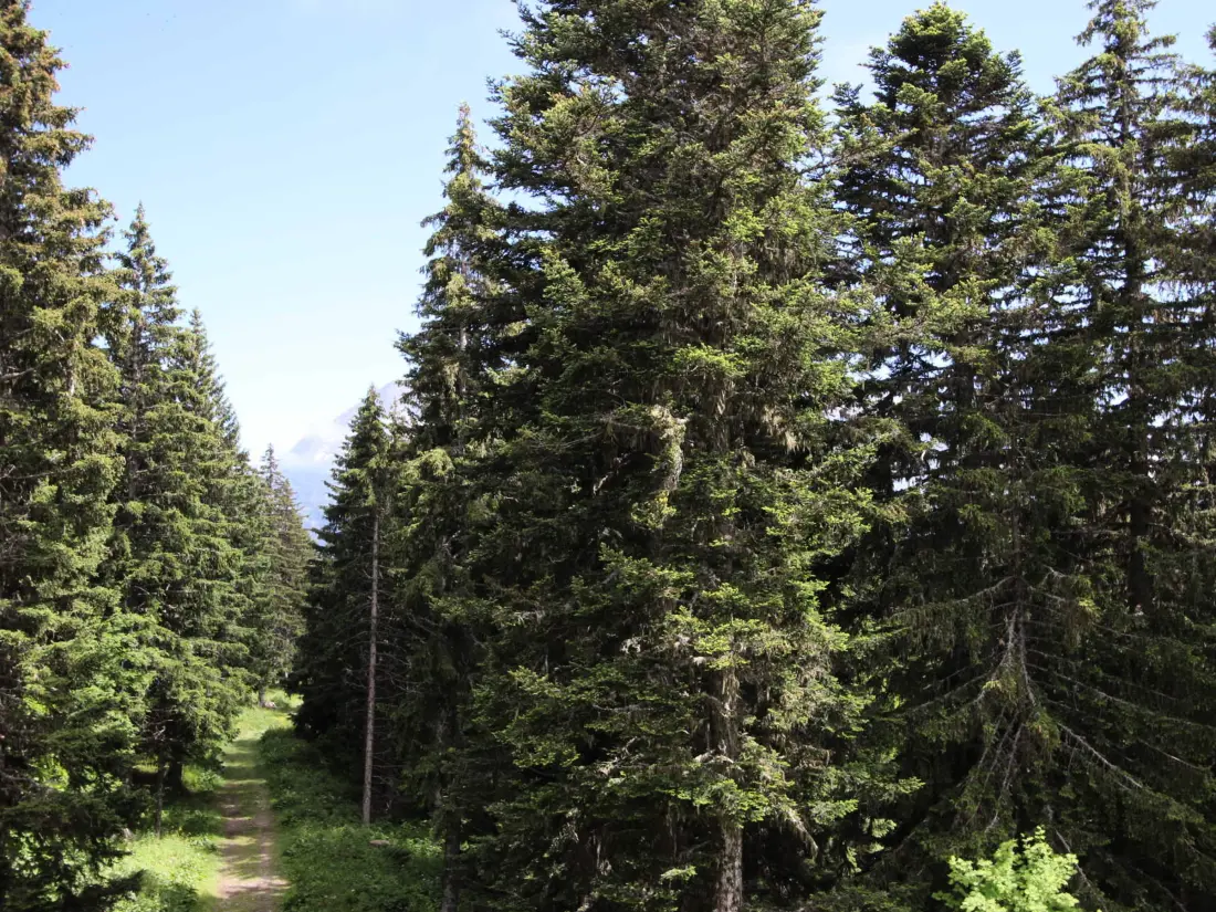 Location de Vacances Chamrousse 282