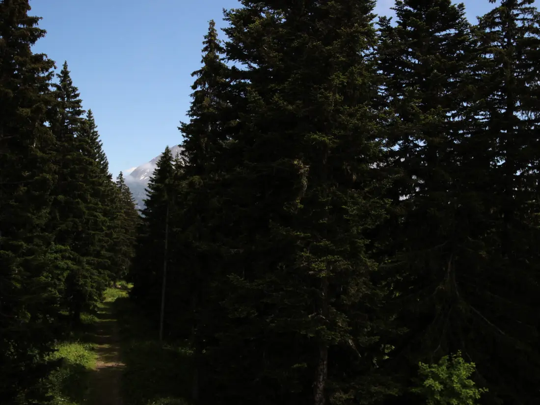 Location de Vacances Chamrousse 282