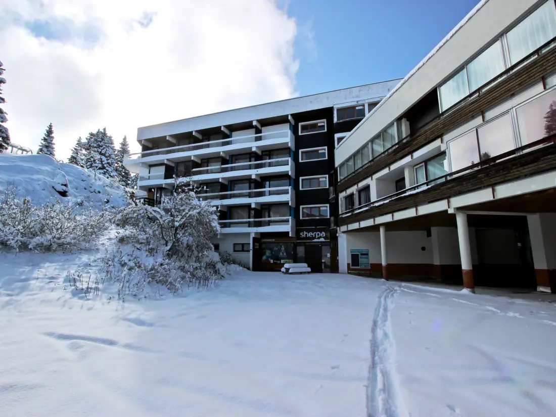 Location de Vacances Chamrousse 3