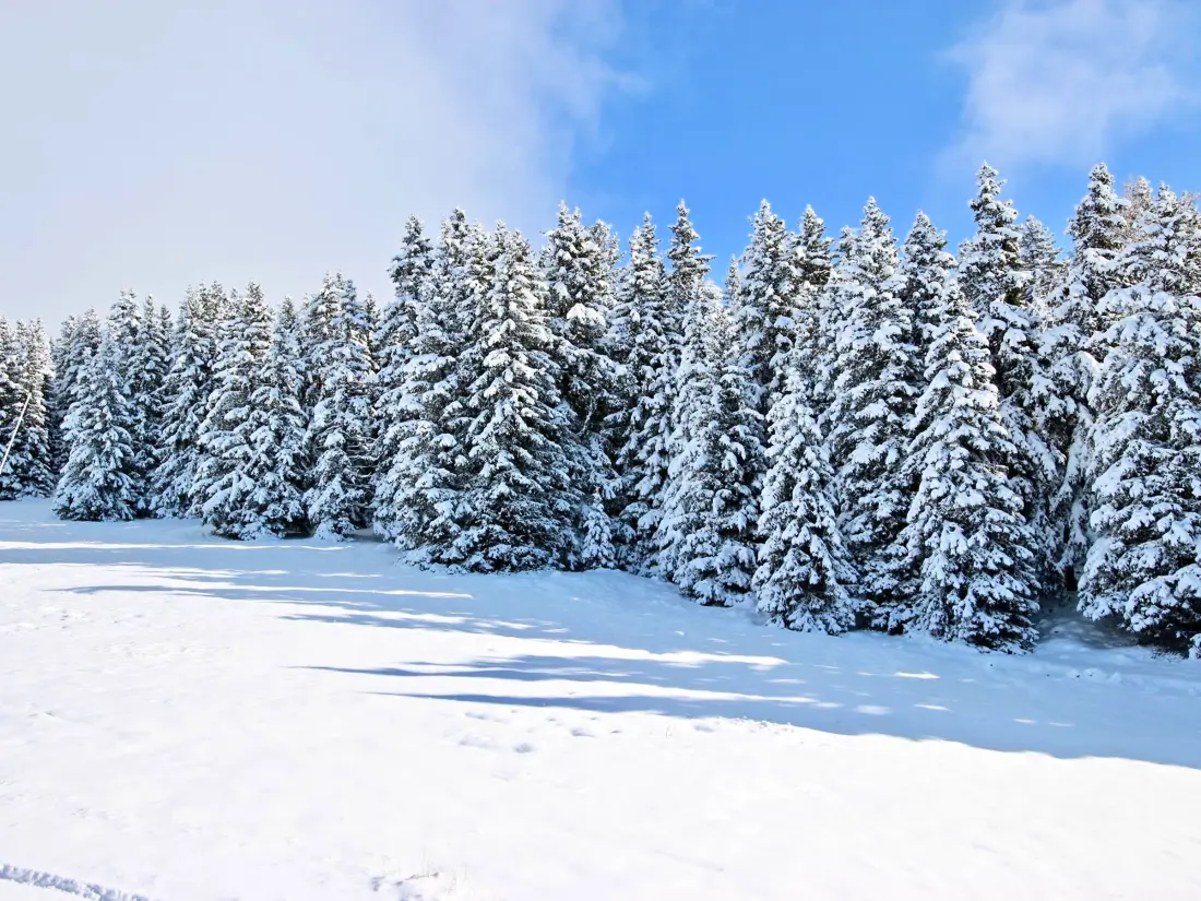 Location de Vacances Chamrousse 318