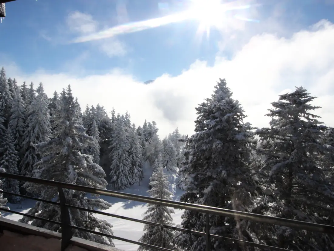 Location de Vacances Chamrousse 320
