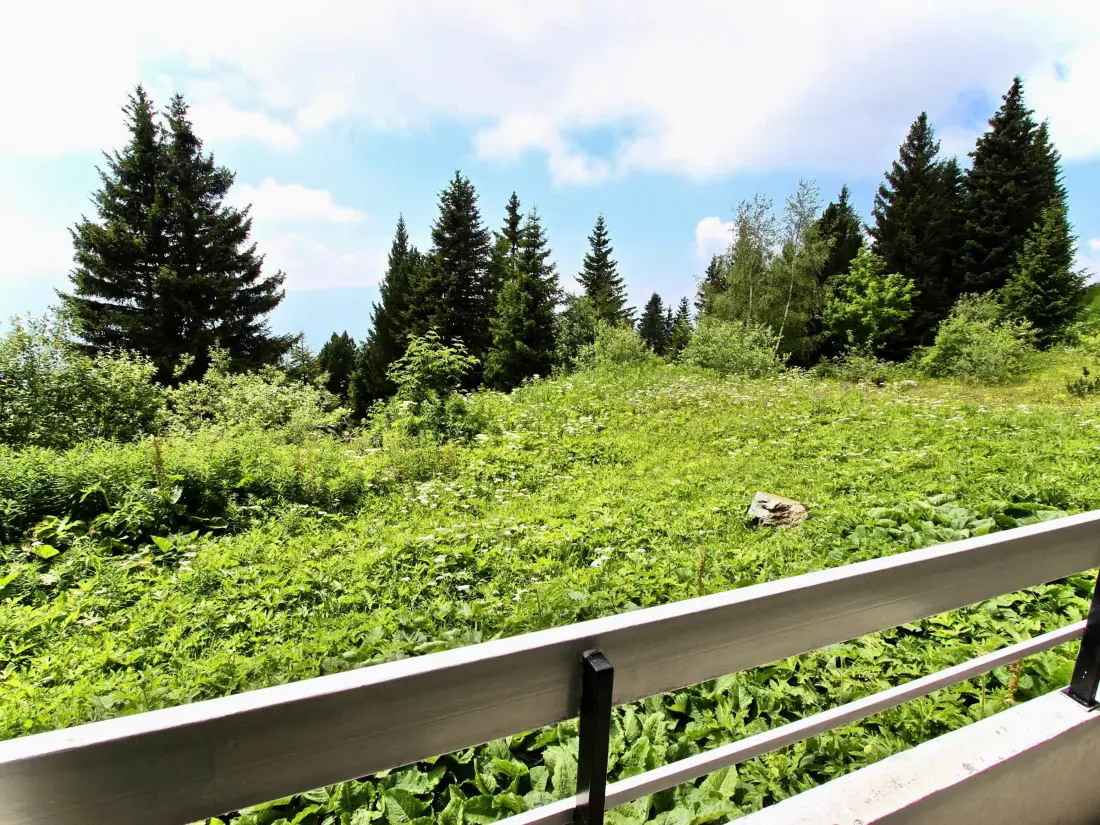 Location de Vacances Chamrousse 78