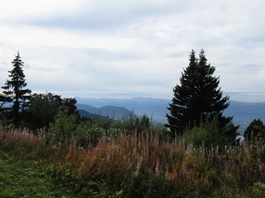 Location de Vacances Chamrousse 78