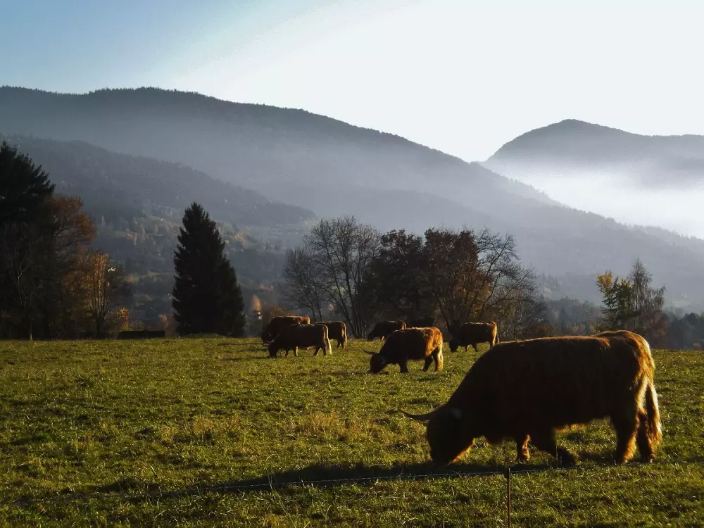 Résidence Les Villages du Bachat