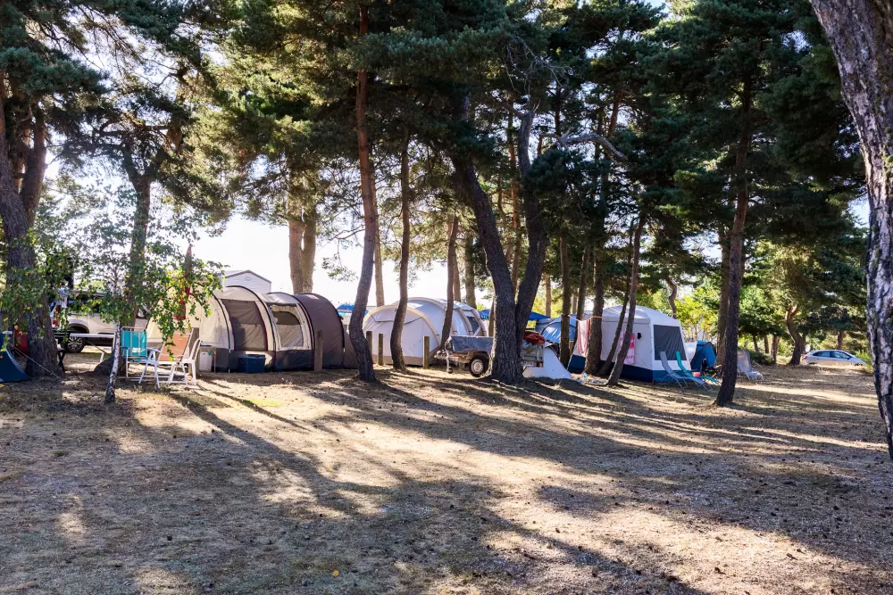 Camping Les Sous Bois du Lac 3 étoiles★★★