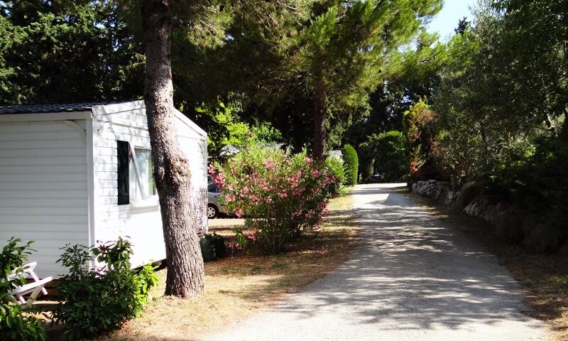 France - Sud Est et Provence - Châteauneuf de Gadagne - Camping Fontisson 3*