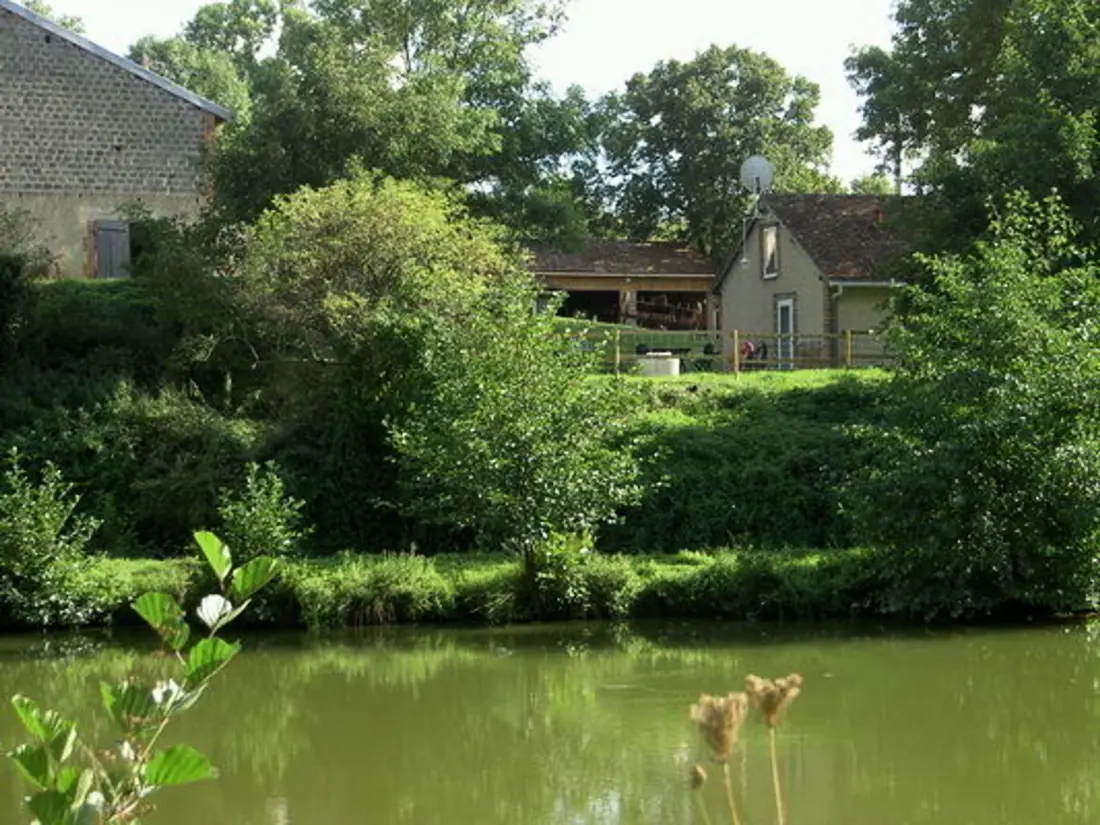 Maison de Vacances Châtel-de-Neuvre 3