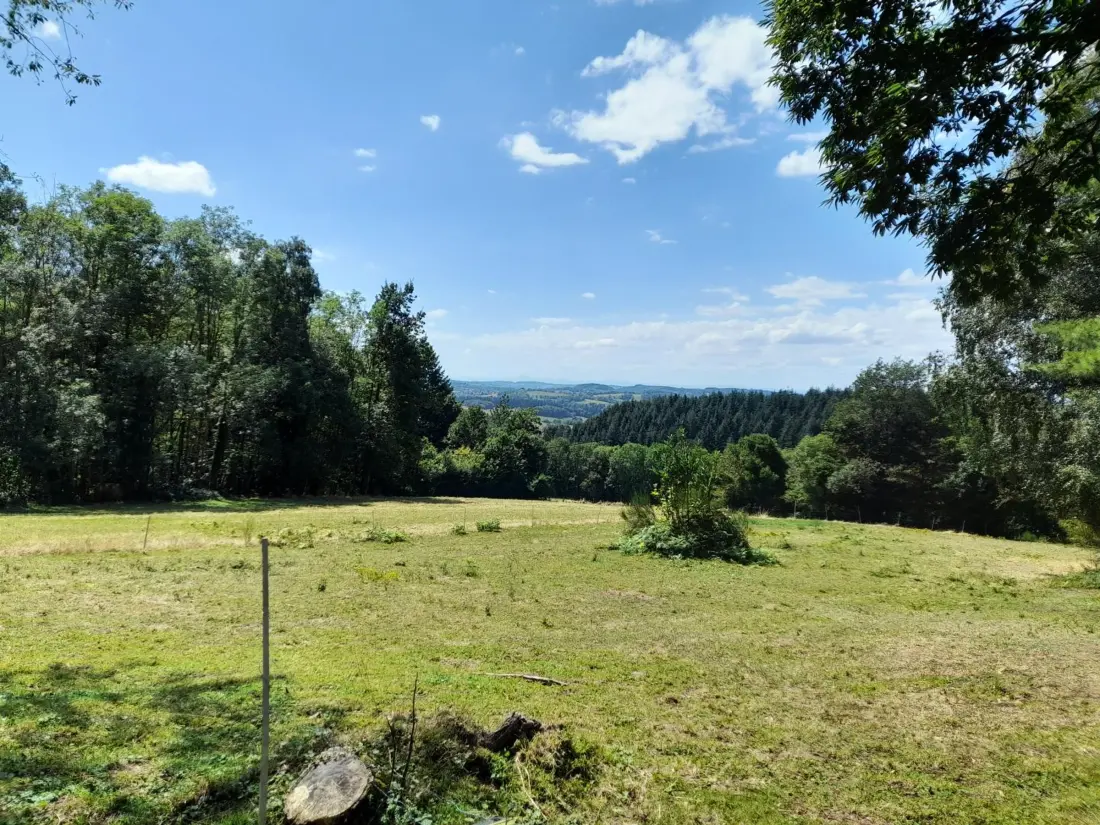 Maison de Vacances Châtel-Montagne 3