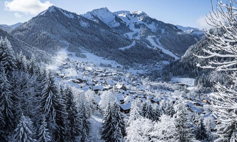 Appartements à Châtel - - Châtel - 9