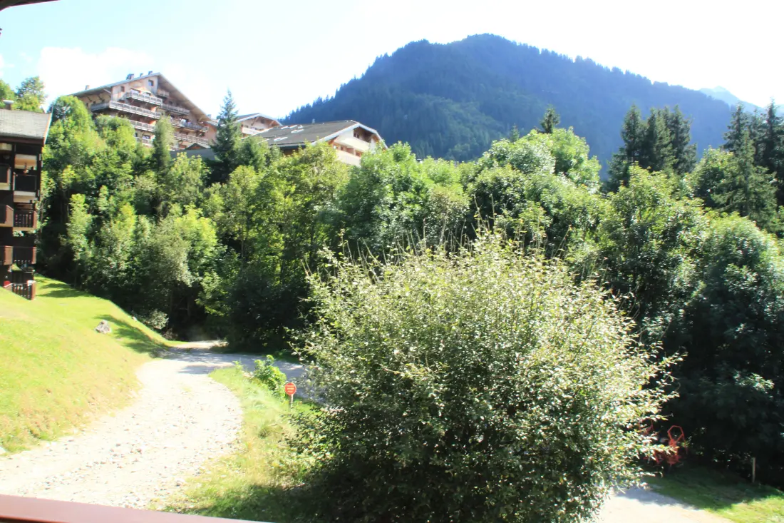 Appartements à Châtel