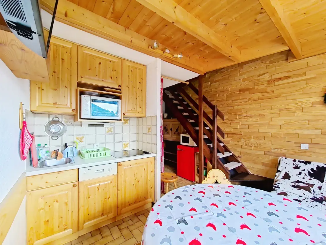 Appartements à Châtel