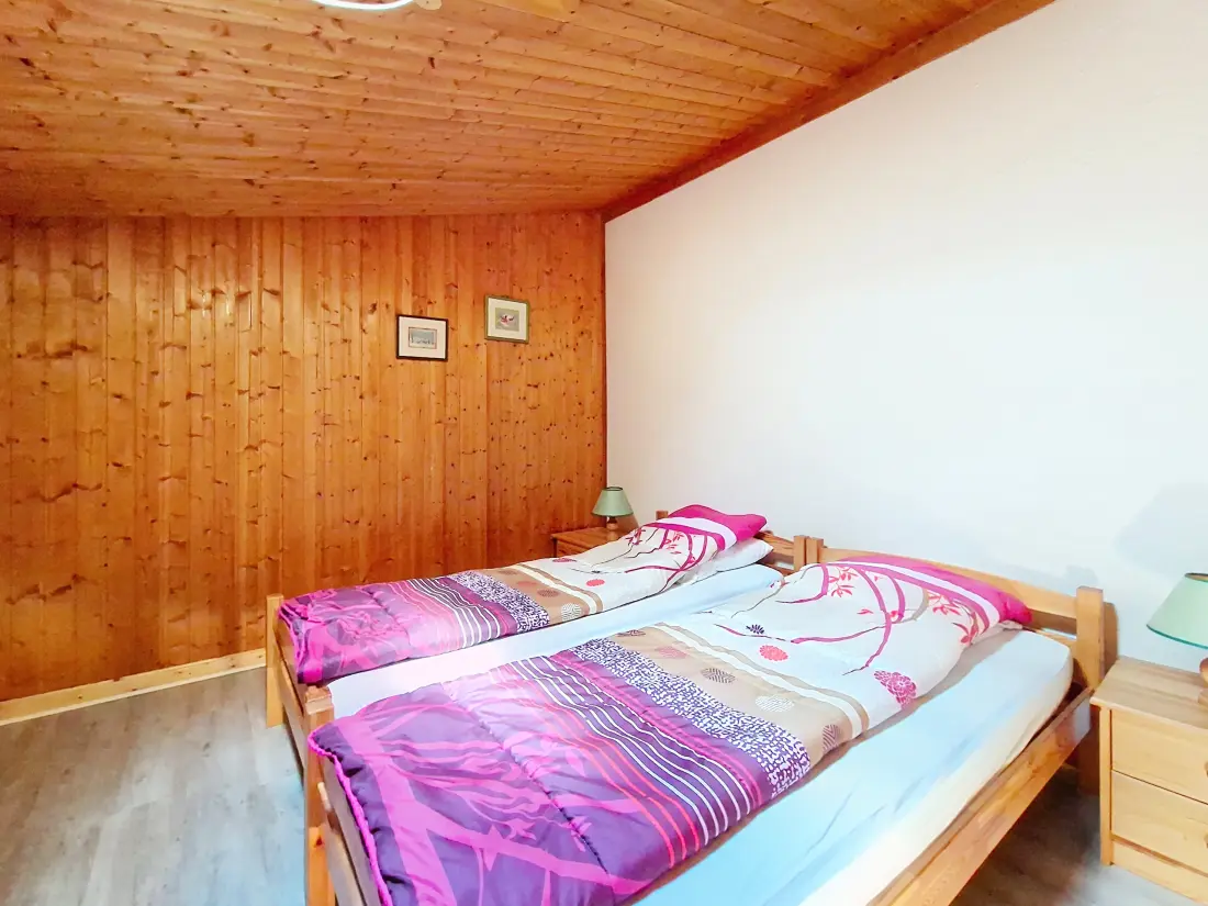 Appartements à Châtel