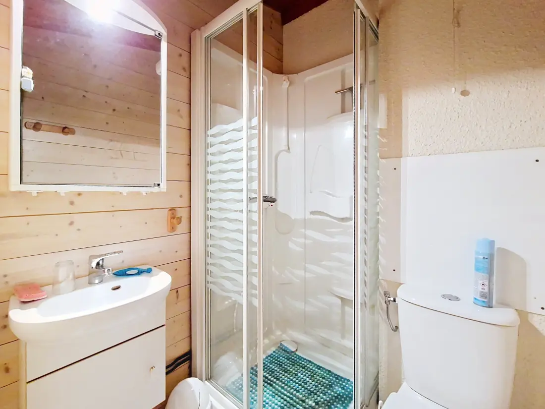 Appartements à Châtel
