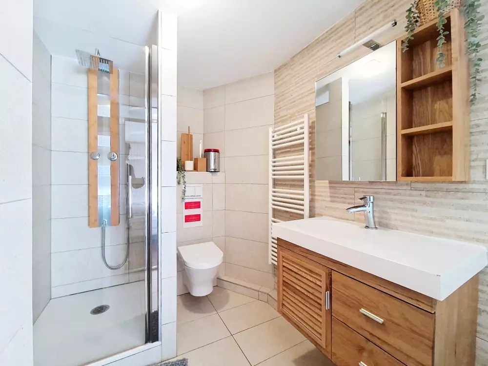 Appartements à Châtel