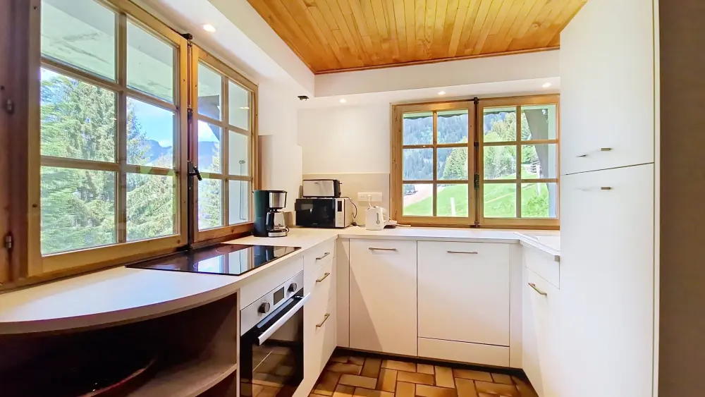 Appartements à Châtel