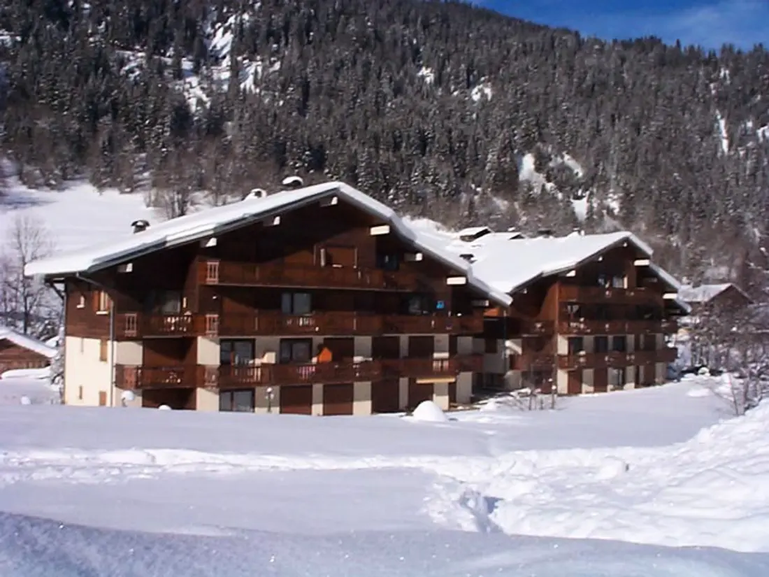 Location de Vacances Châtel 256