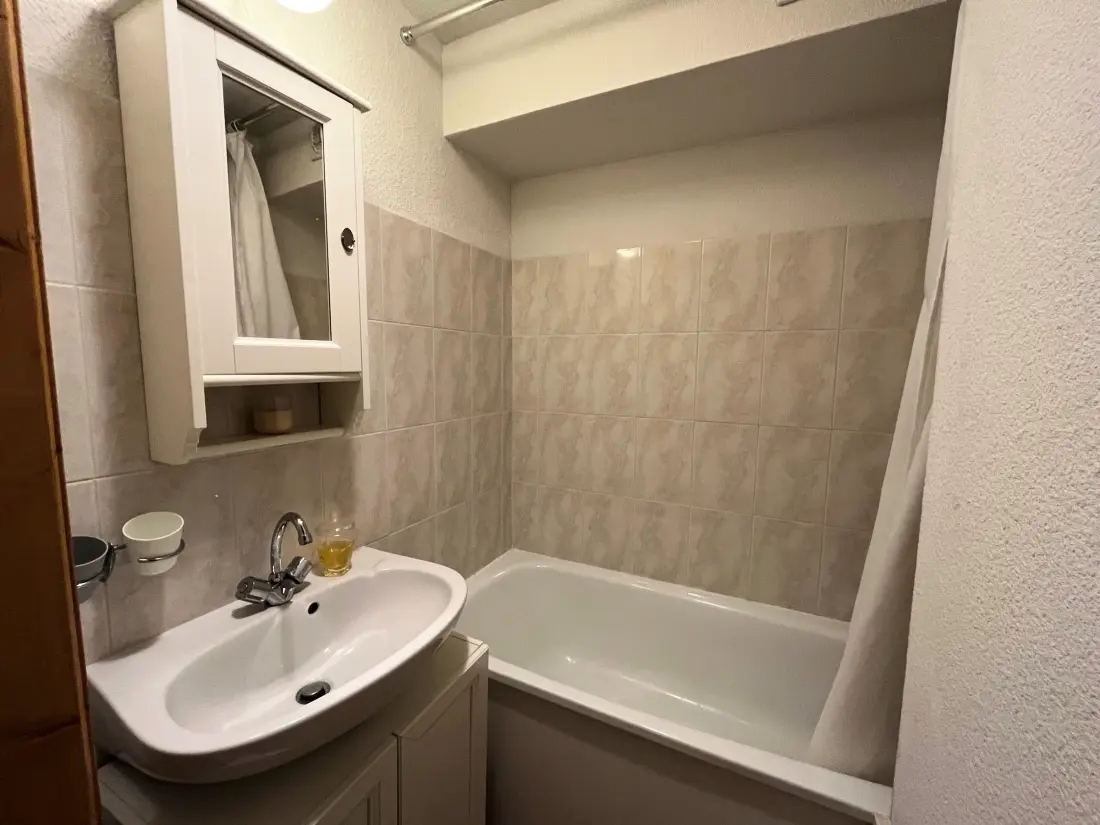 Location de Vacances Châtel 278