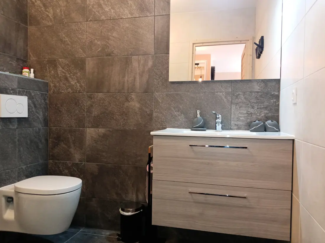 Location de Vacances Châtel 295