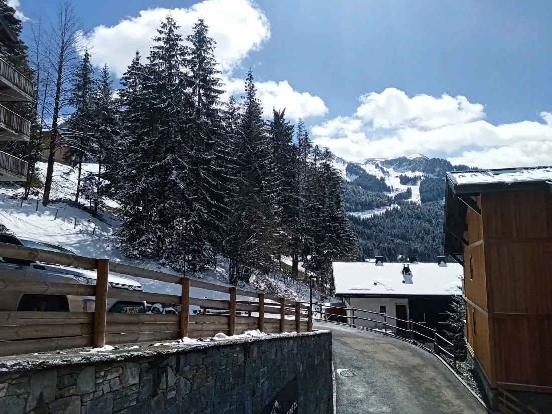 Location de Vacances Châtel 295