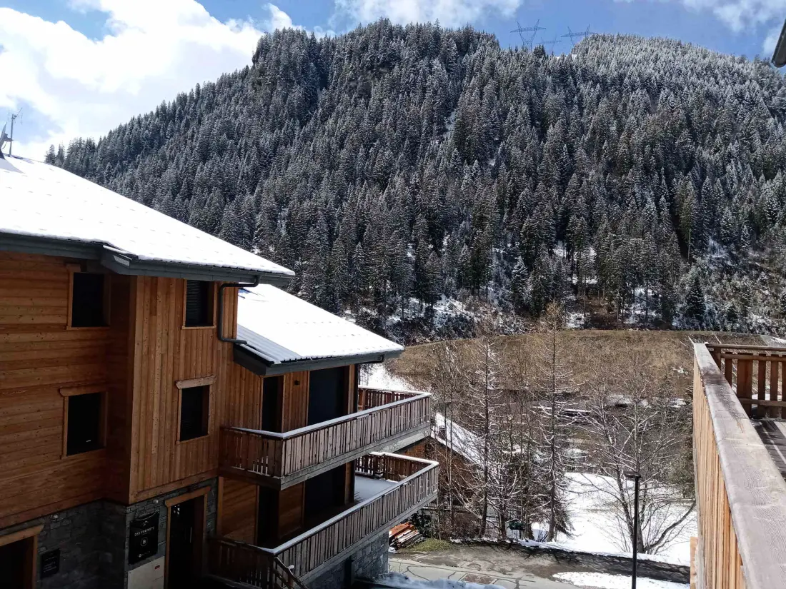 Location de Vacances Châtel 295