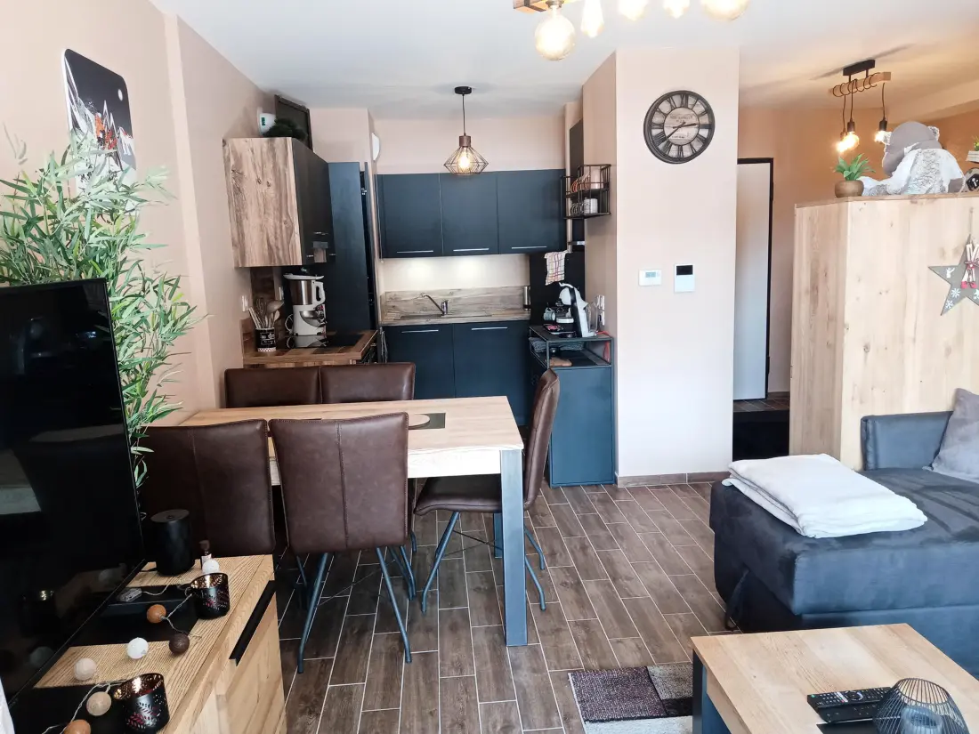 Location de Vacances Châtel 295