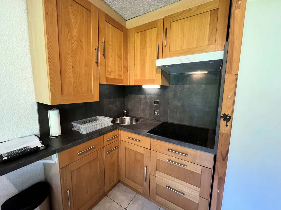 Location de Vacances Châtel 379