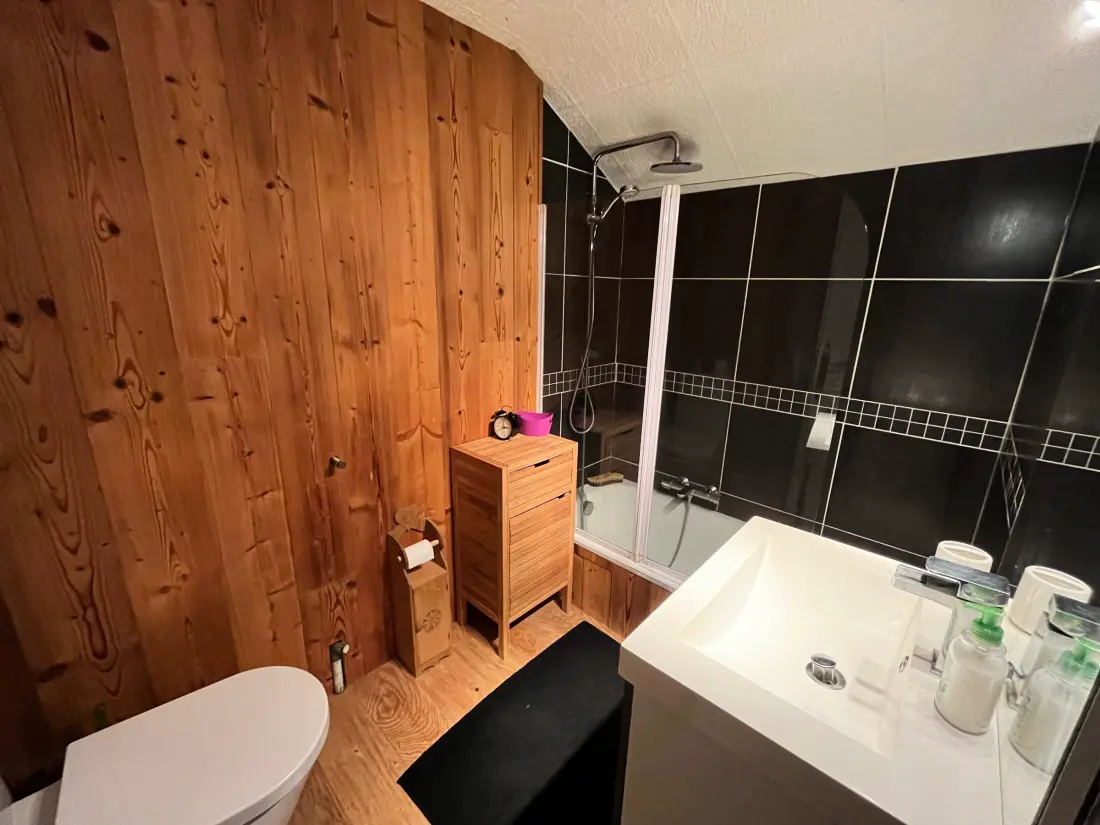 Location de Vacances Châtel 385
