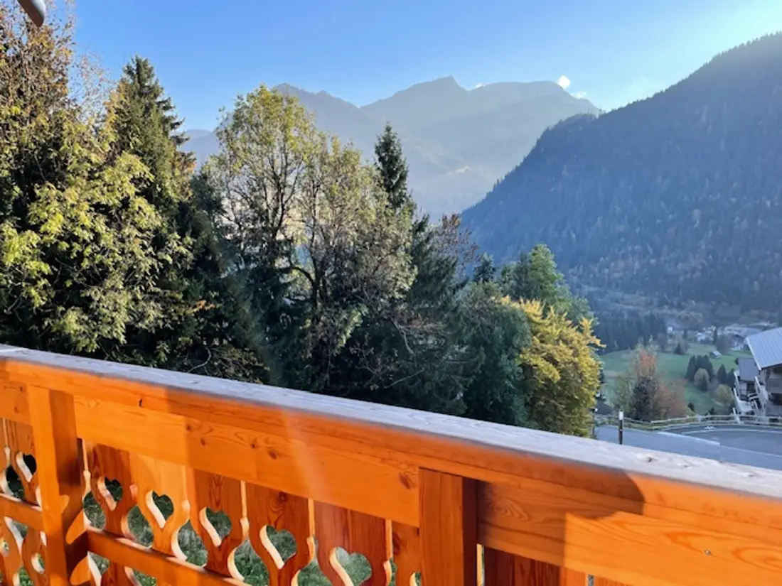 Location de Vacances Châtel 411
