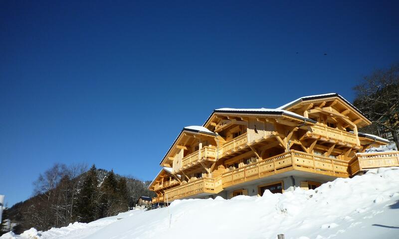 CHALET 15 PERSONNES - - Châtel - 28