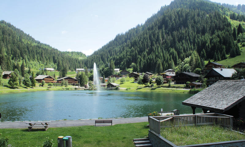 Studio à Châtel - - Châtel - SKI - 14