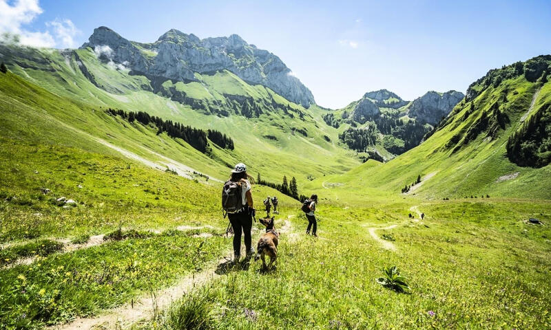 Studio à Châtel - - Châtel - SKI - 15