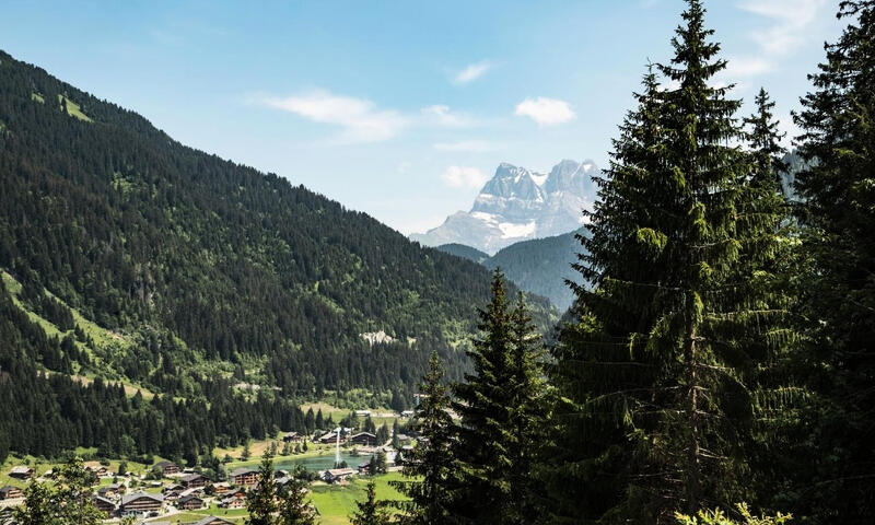 Studio à Châtel - - Châtel - SKI - 15